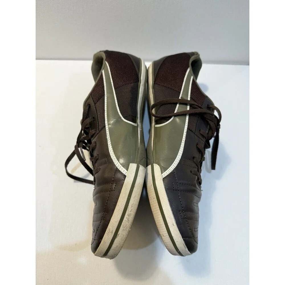 Puma momentta vulc